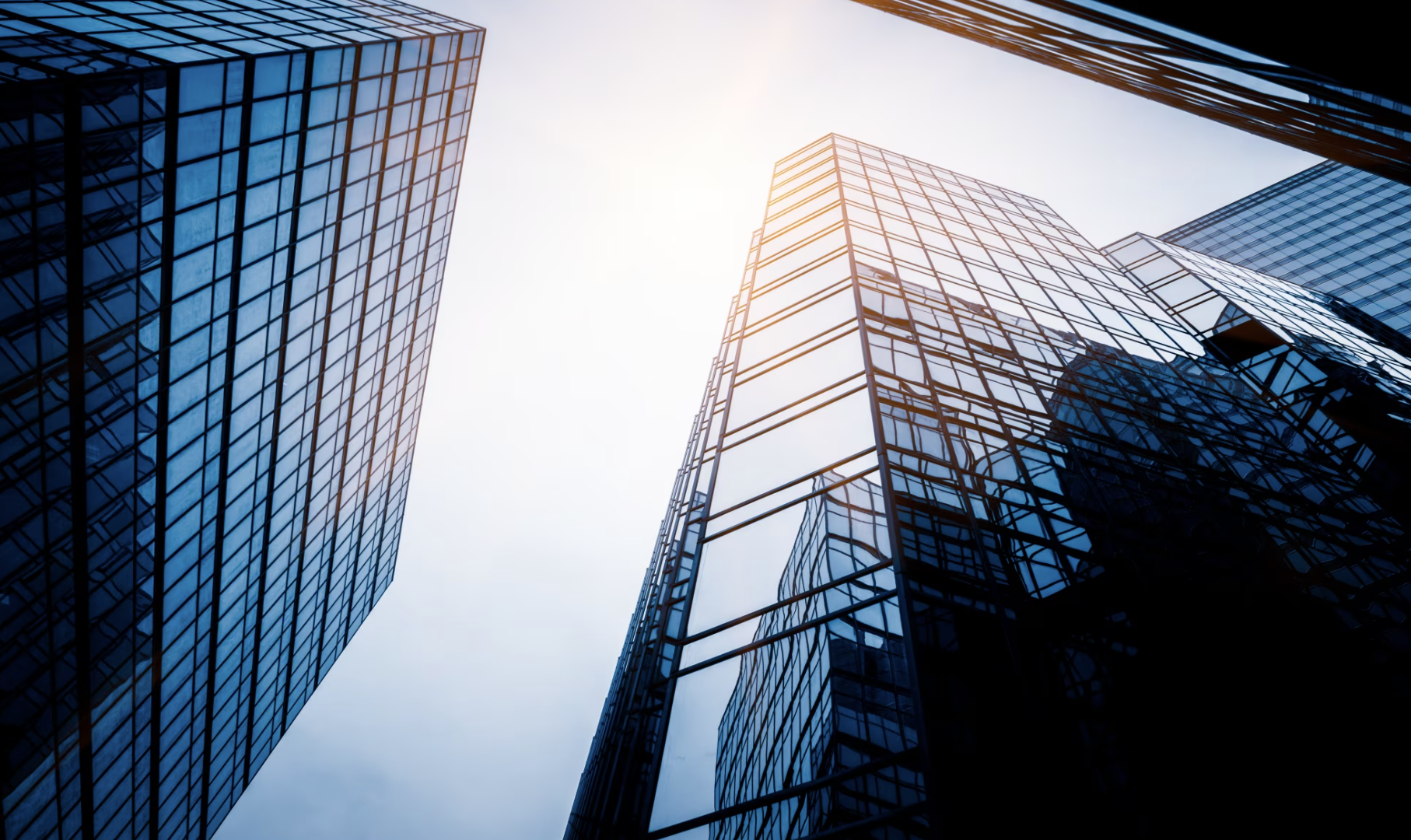 Company Registration